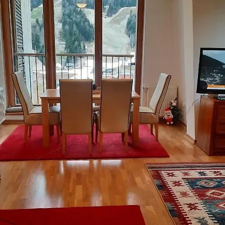 Porodicni Na Bjelasnici Daire *